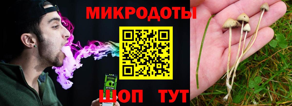 Галлюциногенные грибы Psilocybe  Вход с VPN  цены наркотик  Калининград 